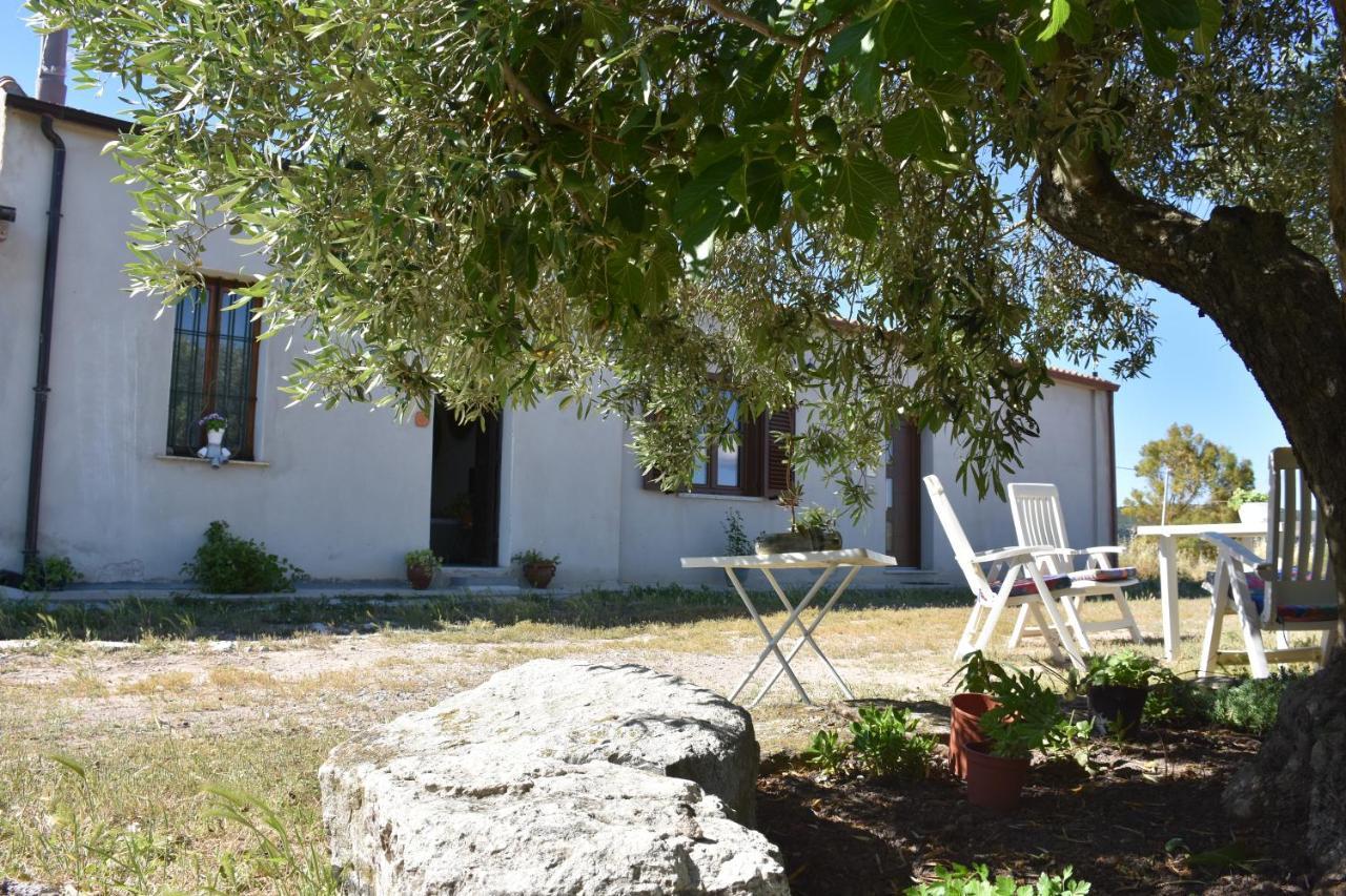 Su Cuile Historical Country House With Barbecue Martis Exteriér fotografie