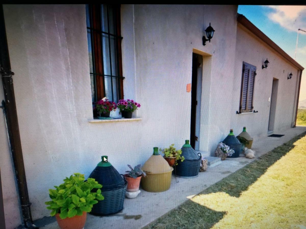 Su Cuile Historical Country House With Barbecue Martis Exteriér fotografie